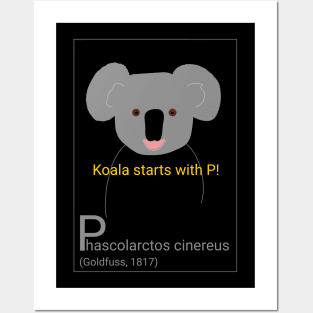 Koala starts with P! Posters and Art